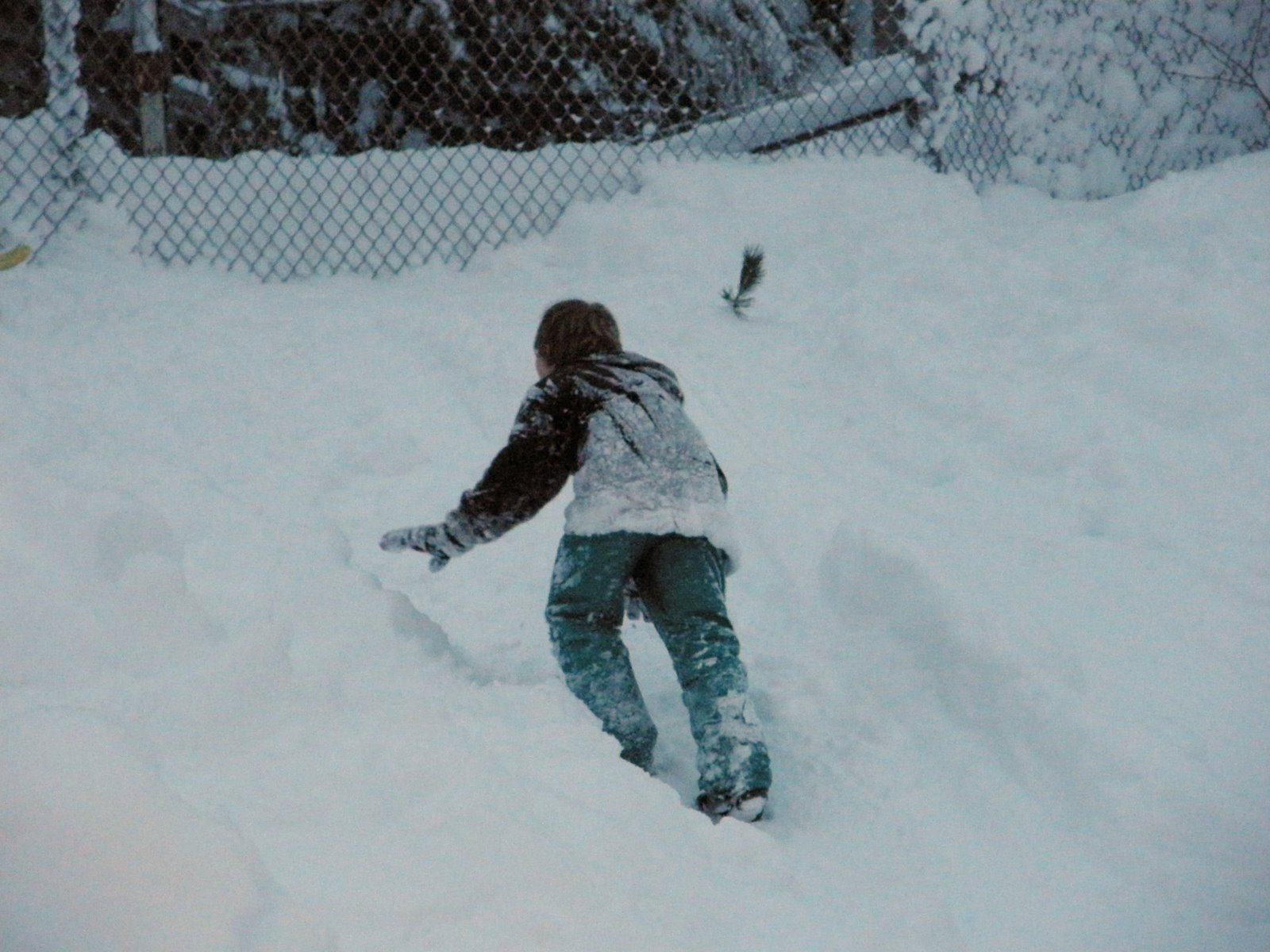 [PC300970_edited-1.JPG]