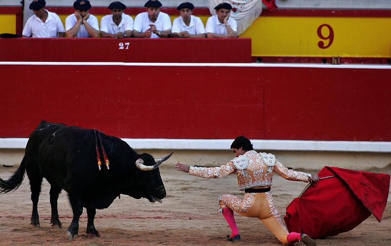 [BULL_0011.JPG]