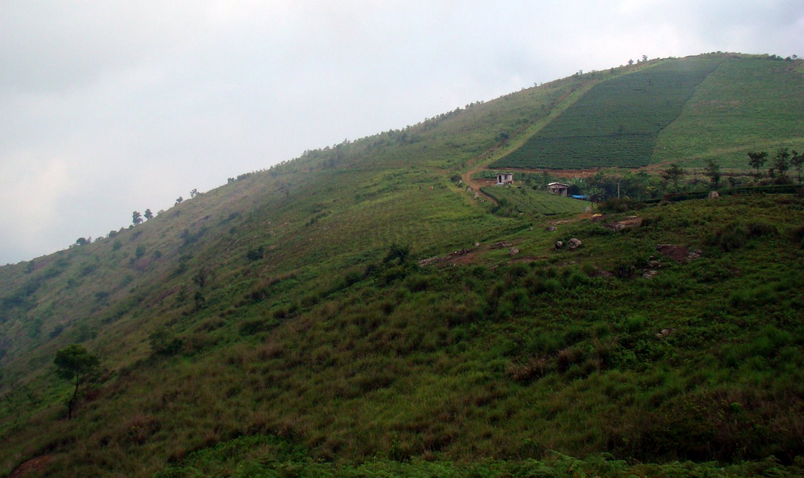 [DSC02459.JPG]