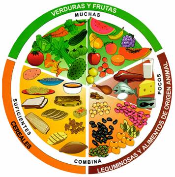 Controla tu diabetes: Una persona con diabetes puede comer Controla tu diabetes: Una persona con diabetes puede comer
