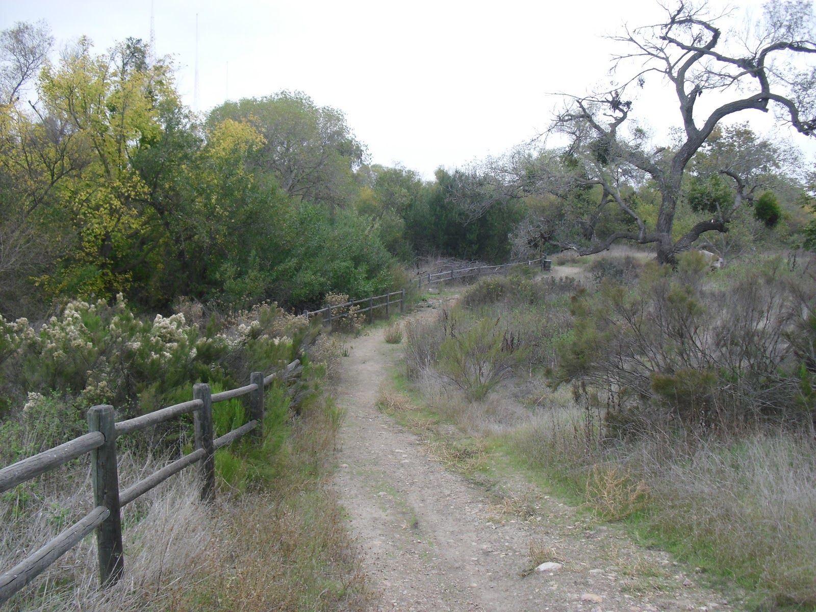 Walking Here and There! Kumeyaay Lake (41)