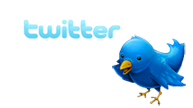 <b>tweets from activistgirl<br>click bluebird:<b></b></b>