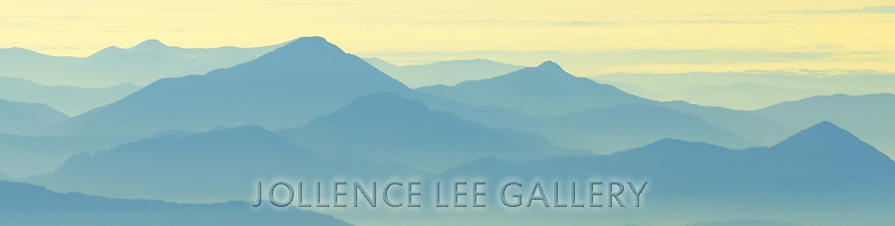 Jollence Lee Photography Image Gallery