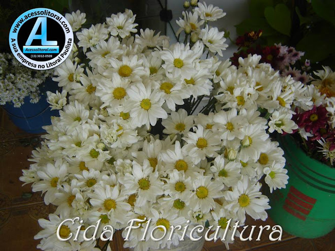 Cida Floricultura23
