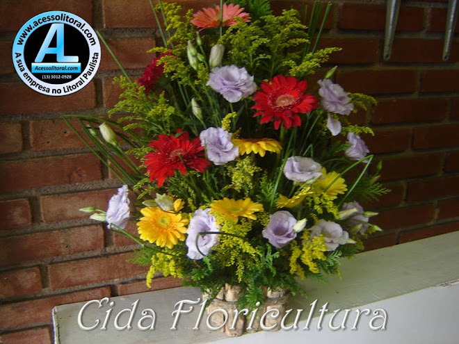 Cida Floricultura26