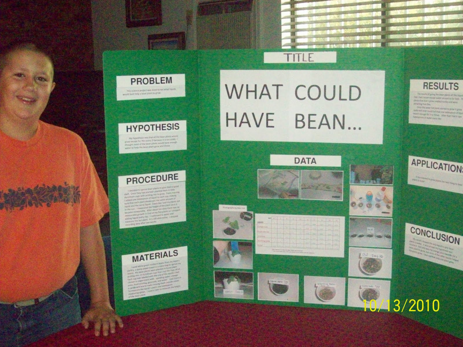 Buy a 6th grade science project