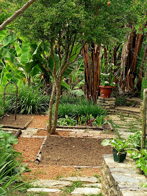 JARDINES DE GAIA/ Jardín Botánico Topotepuy en evolución: Taller de