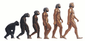 rants from mommyland the devolution of evolution man chart and the scientific facts