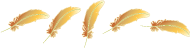 [5+feather.png]