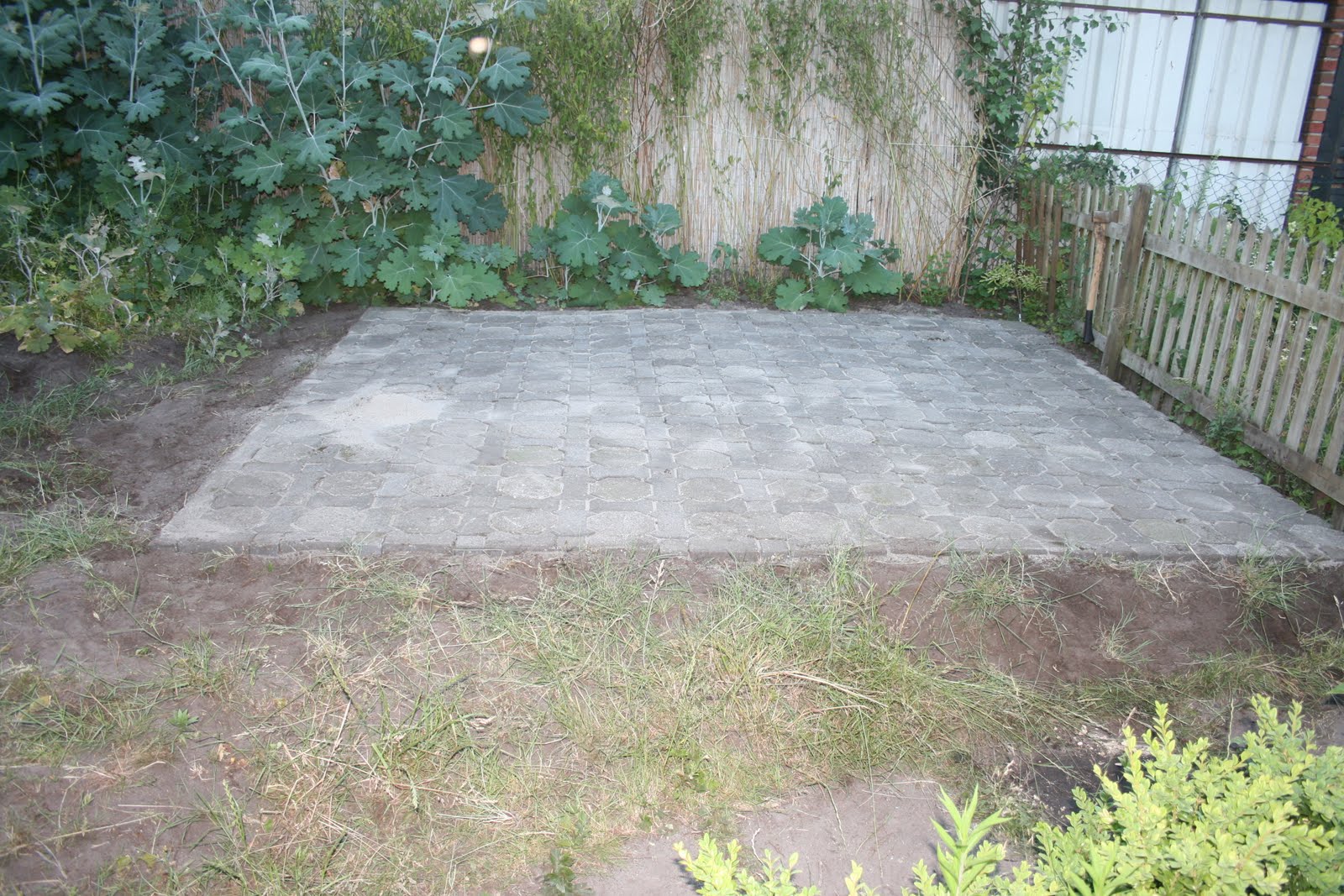 Sarah's garden: juni 2010