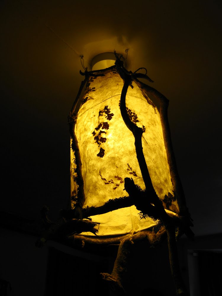 [lampshade+1.jpg]