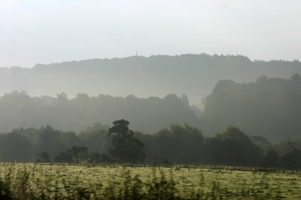 [passing+view.jpg]