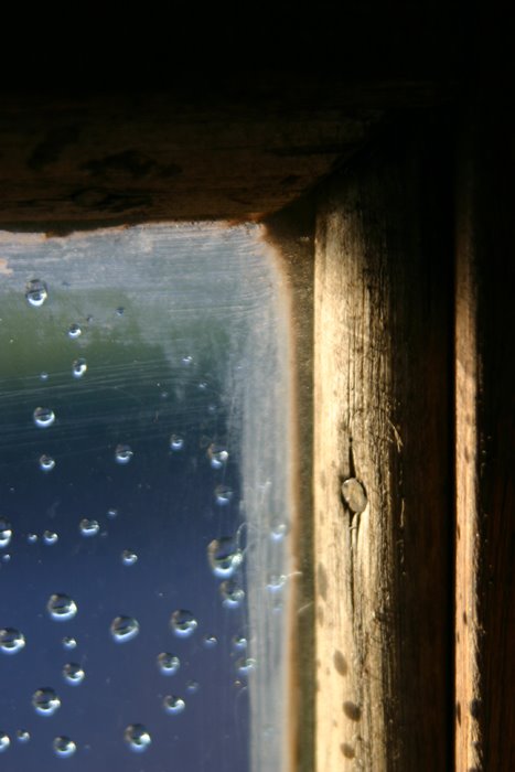 [rain+on+pane.jpg]