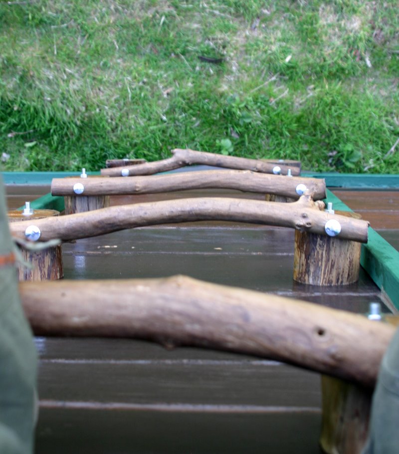 [ladder+looking+down.jpg]