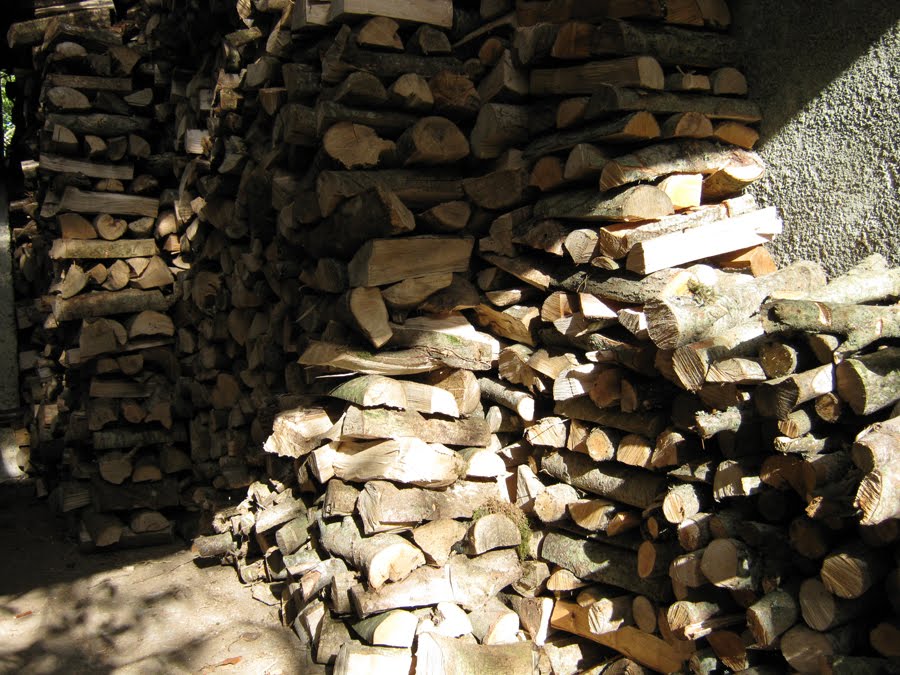 [log+piles.jpg]