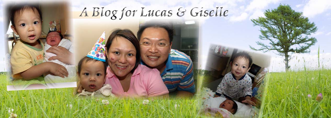 Blog for Lucas & Giselle