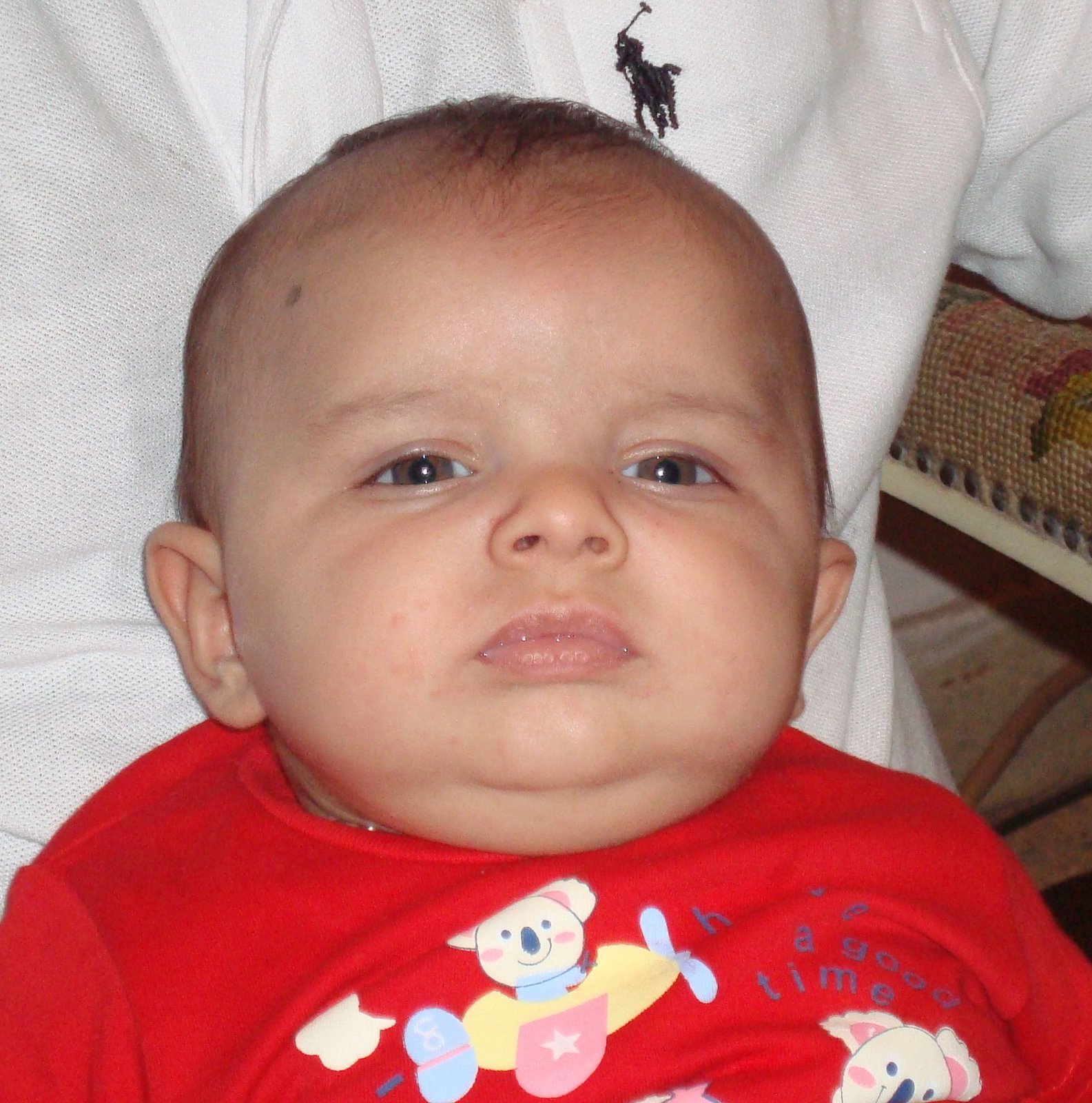 [DSC01374.jpg]