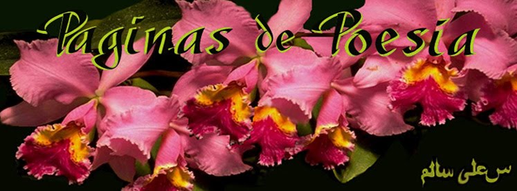 P á g i n a s     de      P o e s i a