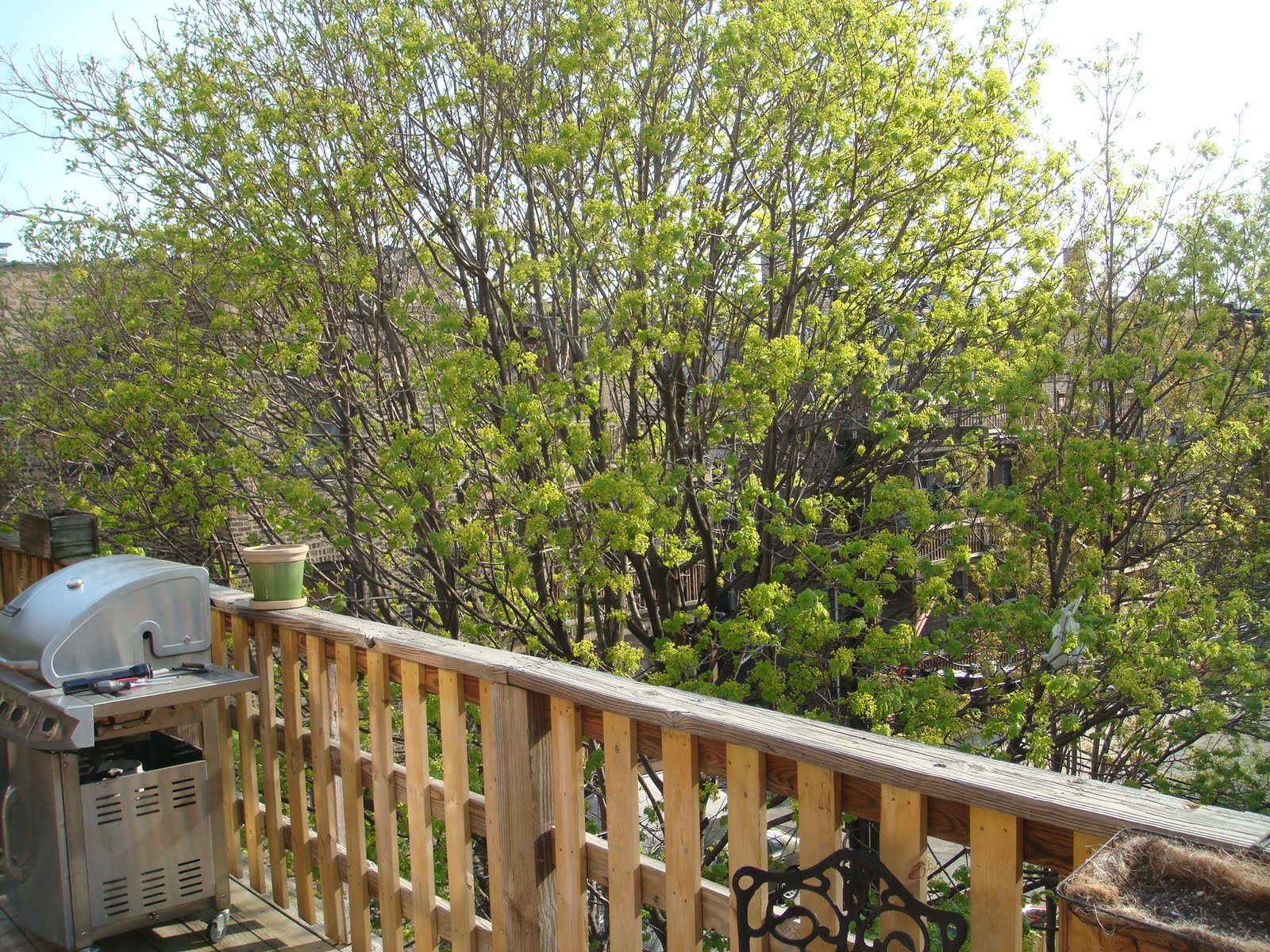 The Chicago Real Estate Local Buying in Buena Park