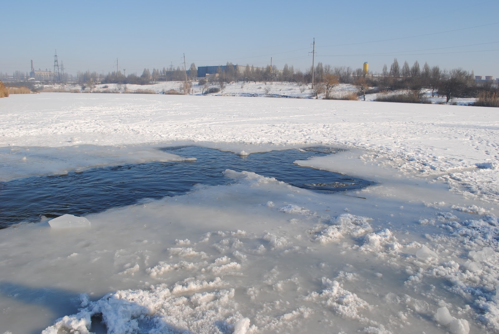 swimming in ice