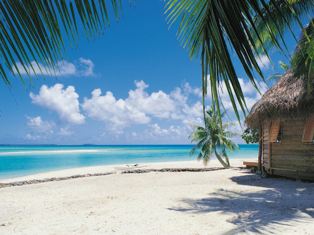 tropical paradise beautiful landscape