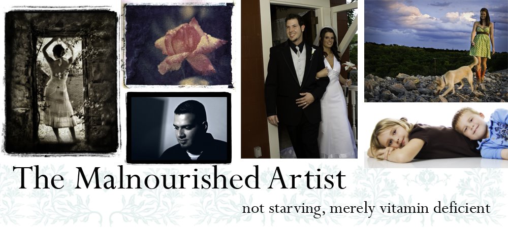The Malnourished Artist