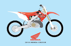 2010 HONDA CR250R