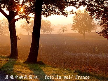 [un+rayon+de+soleil.JPG]