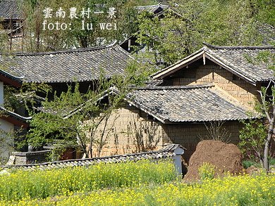 [麗江農村2.JPG]
