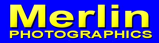 Photo Accessories - Merlin