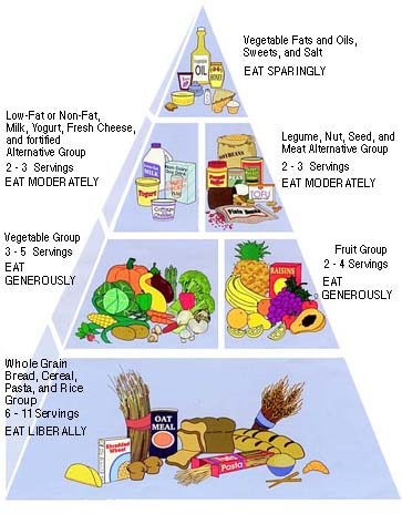 Healthy+eating+pyramid+australia