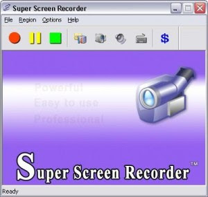 video screen capture