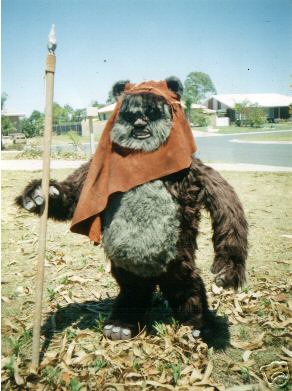 Ewok Hood