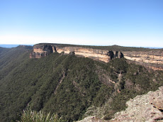 Kanungra Walls