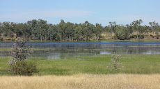 Lagoon, Lulworth Creek