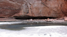 Cathedral Gorge, Purnululu