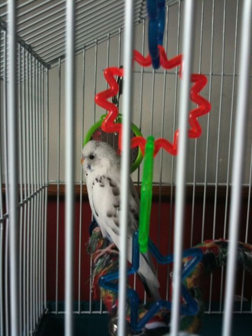 [tumblr_kvdoyeuMKJ1qzwjdvo1_500-1.jpg]