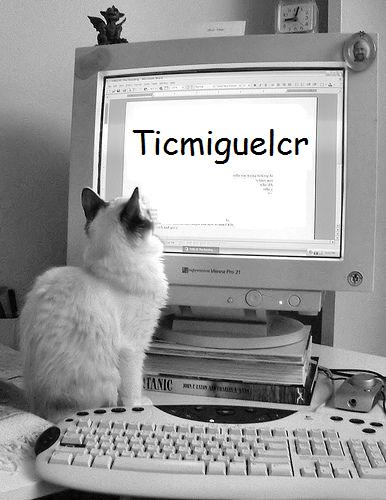 Ticmiguelcr