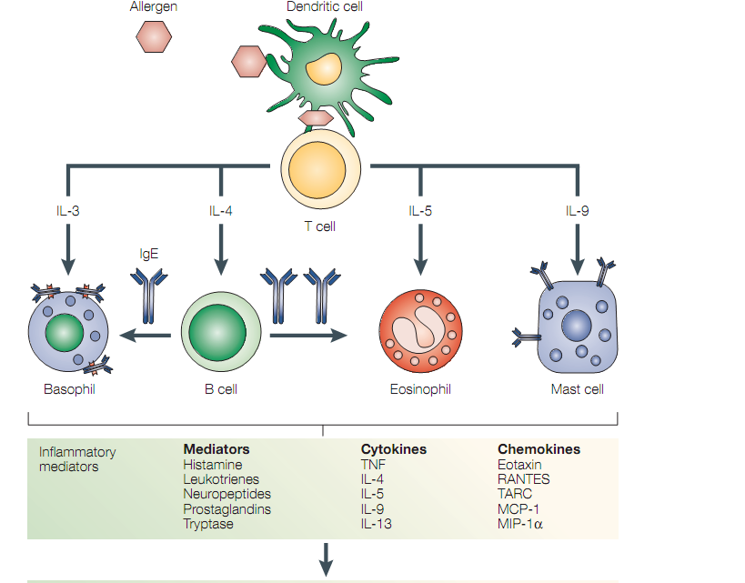 weltanschuuang: 201011