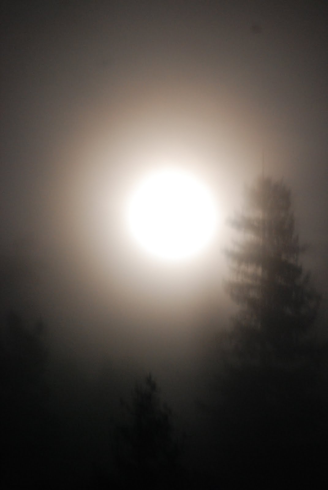 [DSC_0100.JPG]