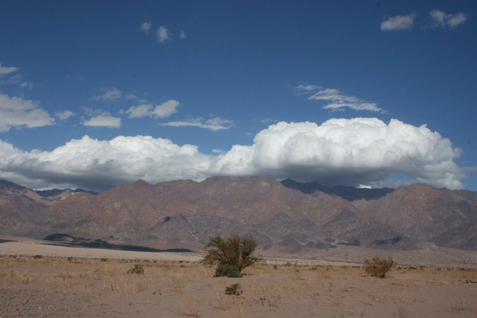 [IMG_2961.JPG]