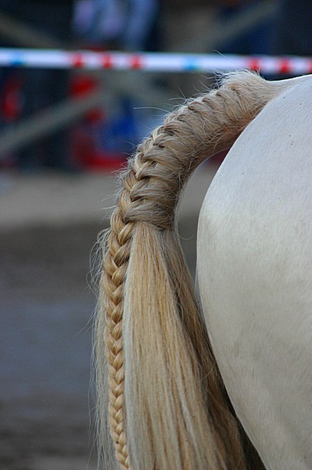 [09087_JFR.JPG]