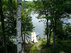 The View from the Deck at the Cottage