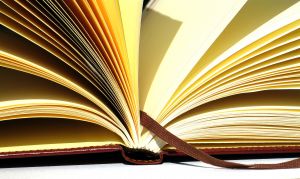 [brown_notebook_4.jpg]