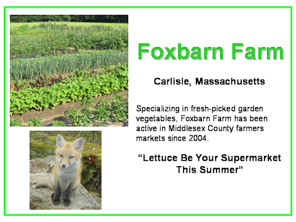 Foxbarn Farm