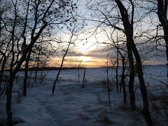 Winter skies at Ravenheart