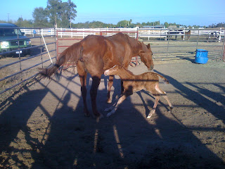 Penny and momma - mylesyoung.com