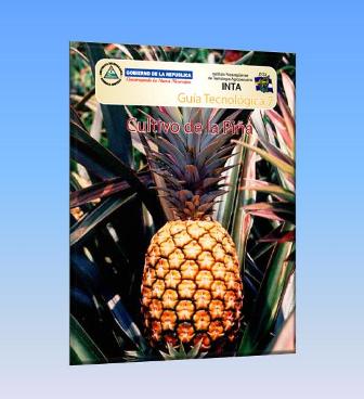 Un interesante guía técnica del cultivo de la Piña (Ananas comosus (L.) 