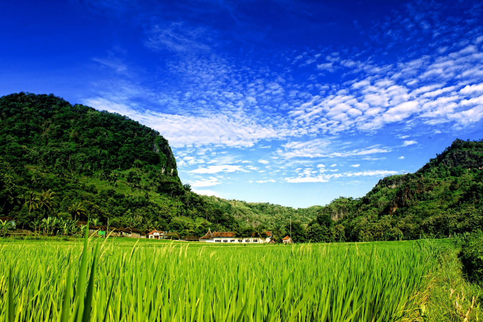 JOGJAHOLIC PHOTOGRAPHY: Suasana Pedesaan