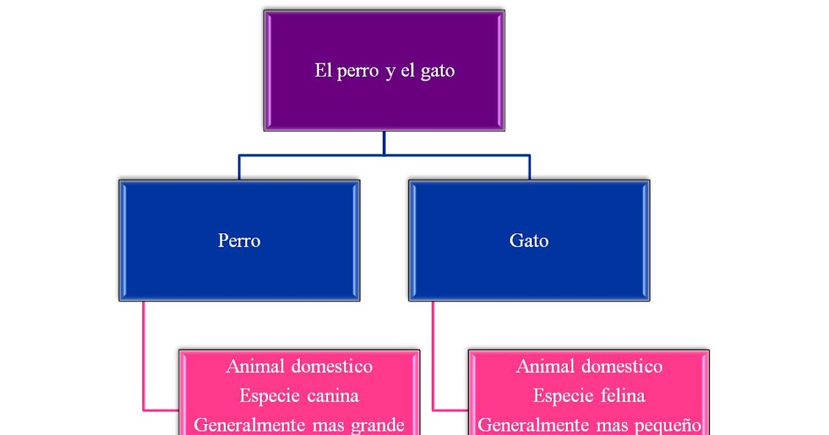 Portafolio electrónico: Esquema